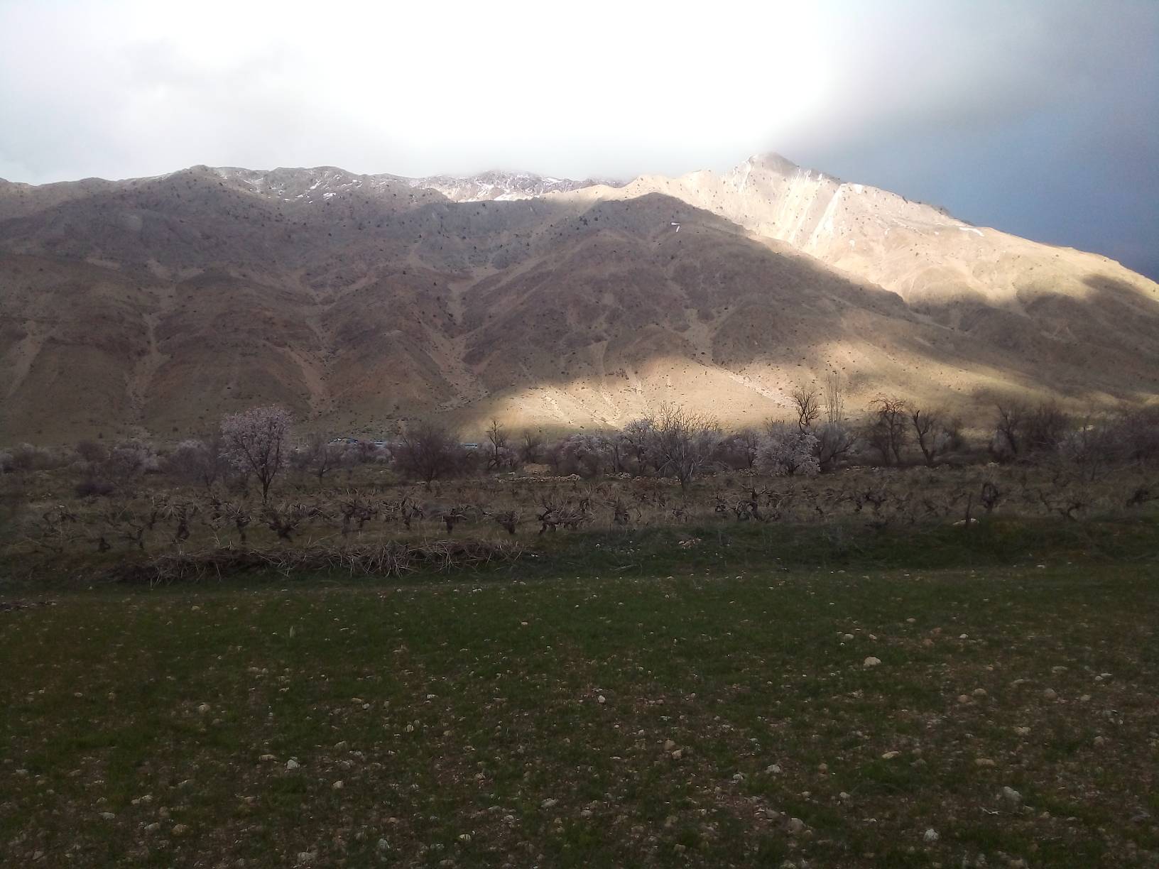 کوه و دشت