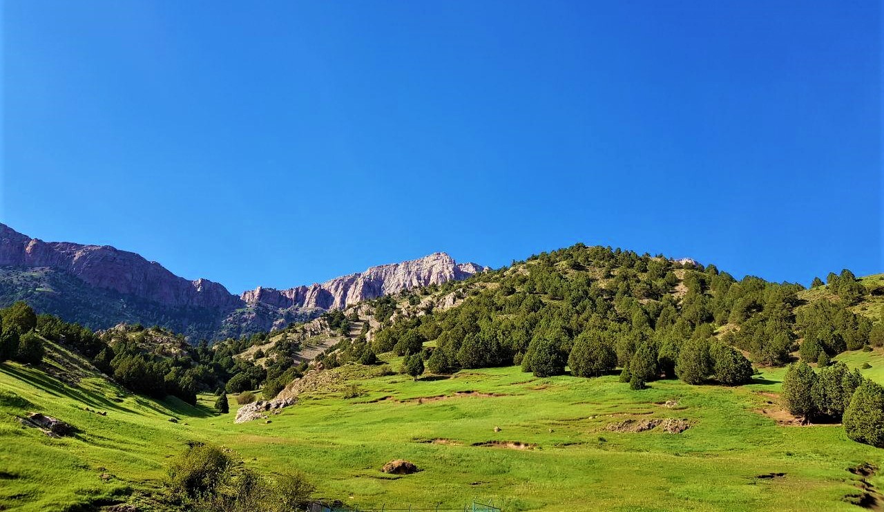 سیزده بدر روز طبیعت در مشهد کجا بریم