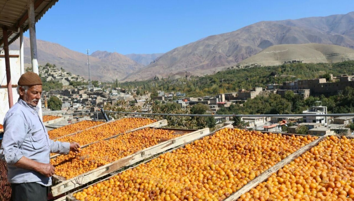 خرو، پایتخت لواشک های رنگارنگ ایران در خراسان رضوی+ عکس