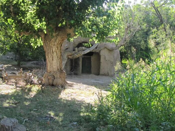 آق&zwnj;قلعه جوین، به جا مانده از معماری طلایی دوره ایلخانی