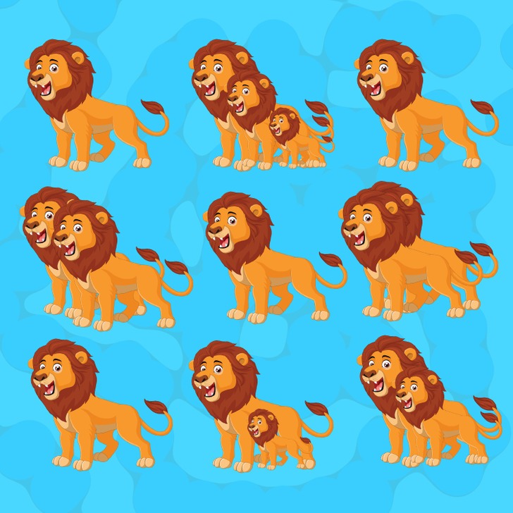 شیر
