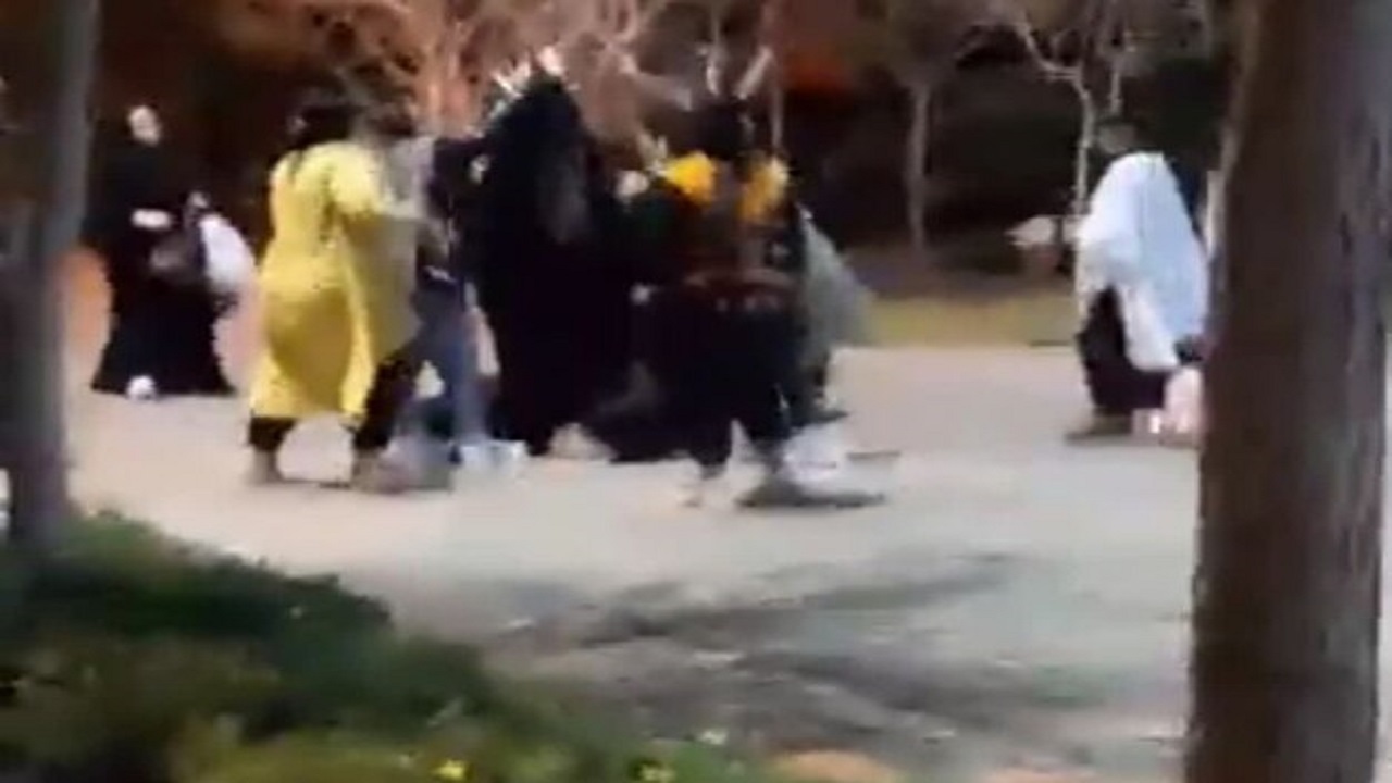 عاملان حمله به خانم محجبه در یکی از بوستان‌های قم بازداشت شدند