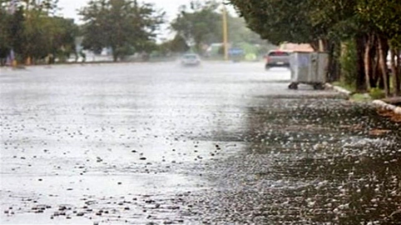 بارش باران در خراسان شمالی