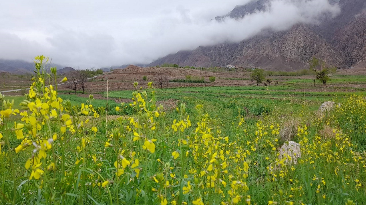 طبیعت روستای اردکول در قاب دوربین شهروندخبرنگار + تصاویر