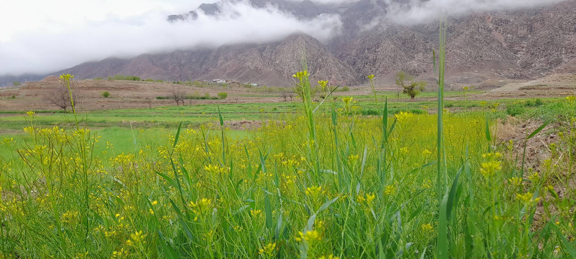 گشت و گذار