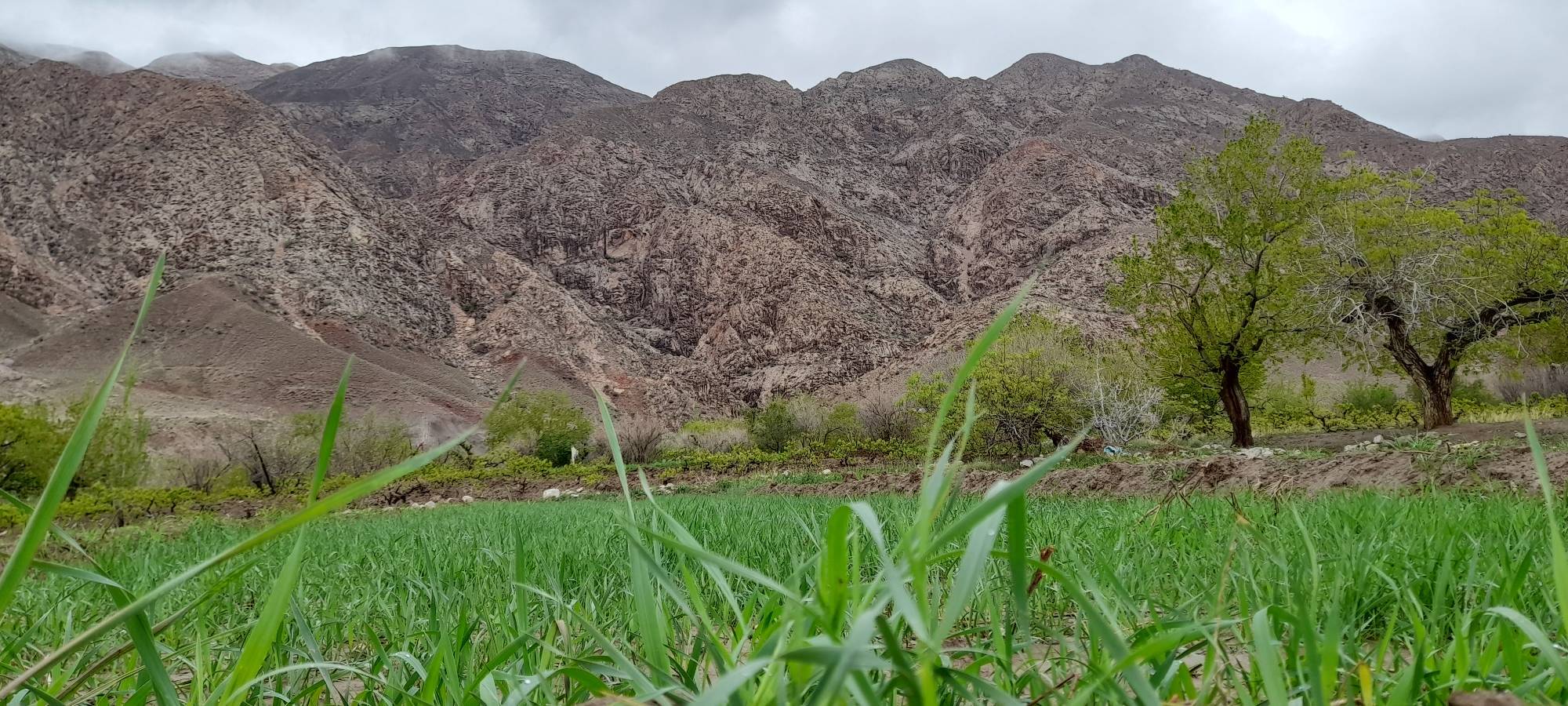 گشت و گذار