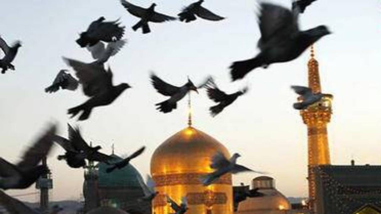 رهایی ۴ محکوم به قصاص و آزادی ۶۲ زندانی در کرمان
