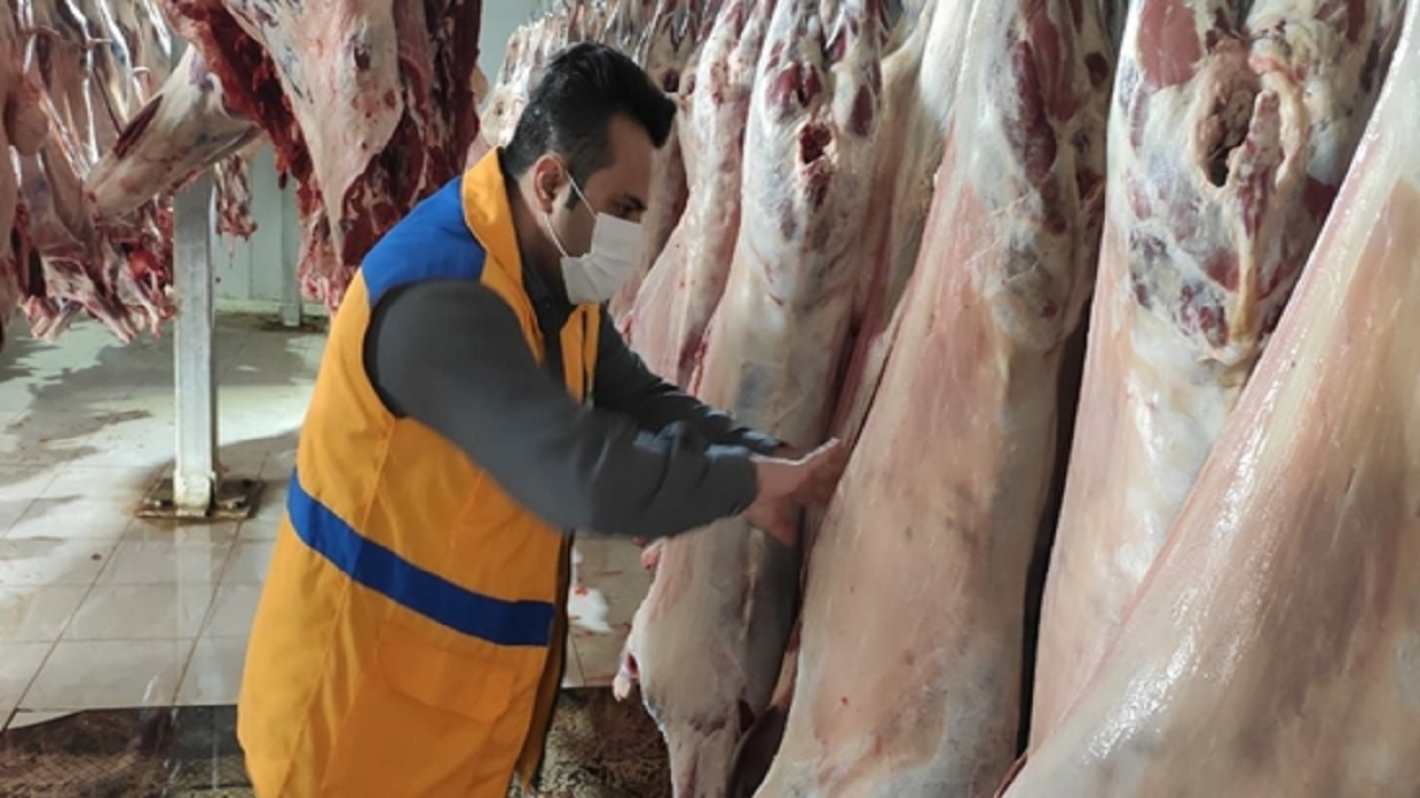 نظارت های بهداشتی دامپزشکی کهگیلویه وبویراحمد در ایام نوروز تشدید می شود