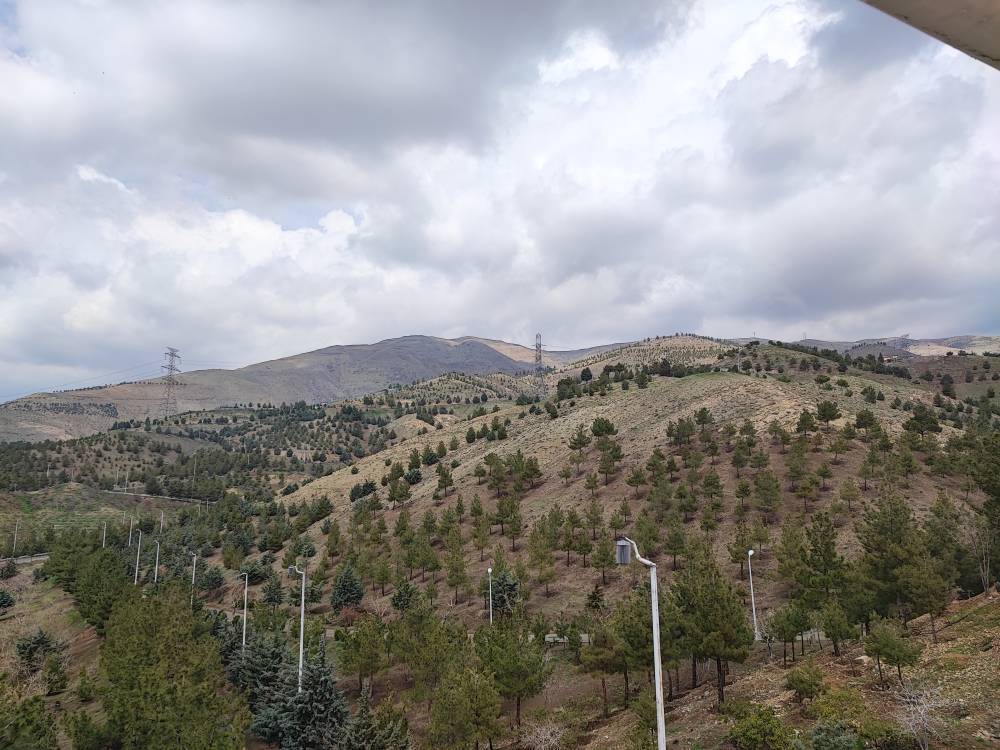 از