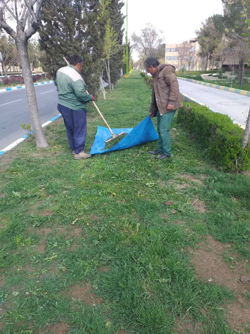 آرایش درختان از