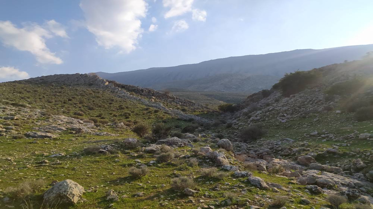 صحنه‌های بهاری در طبیعت روستای گلستان شهرستان کازرون + فیلم و تصاویر