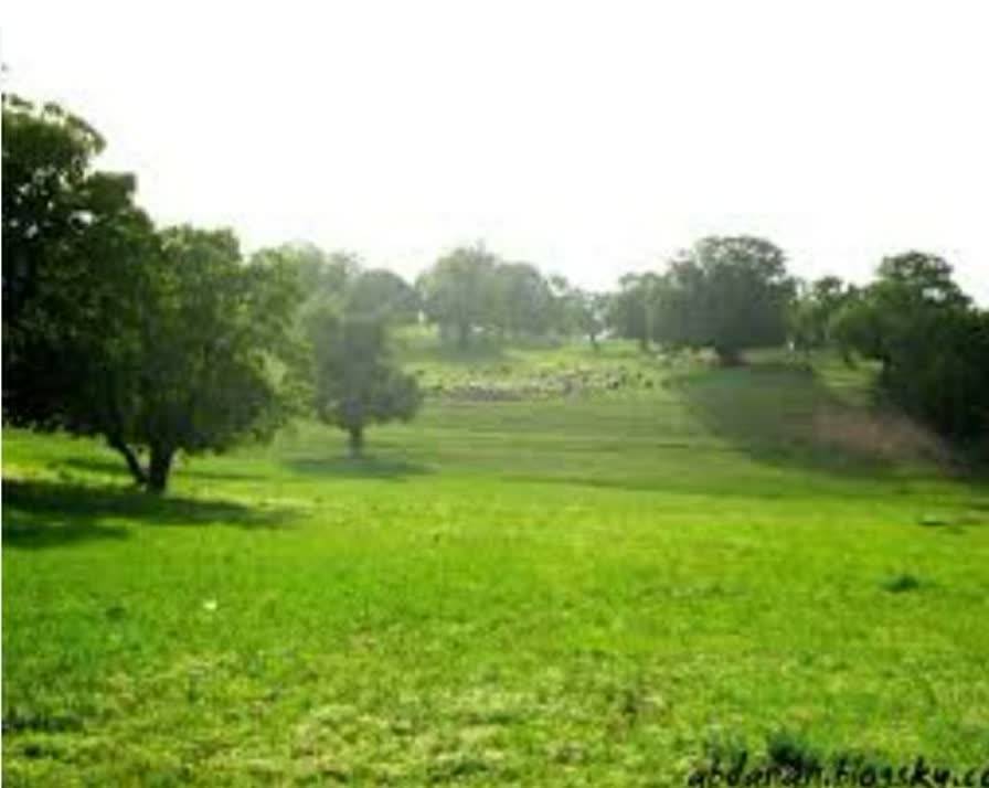 روستای پشت قلعه بهشت نهان استان ایلام + تصاویز