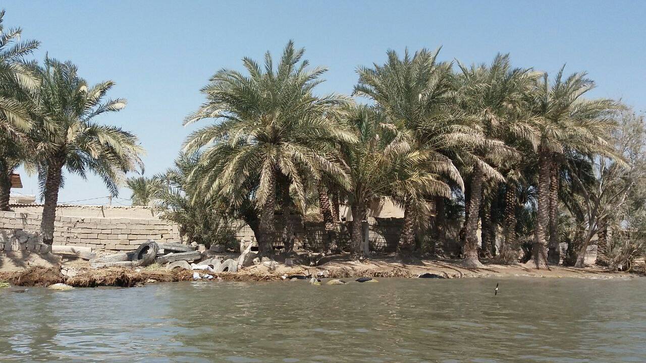 از