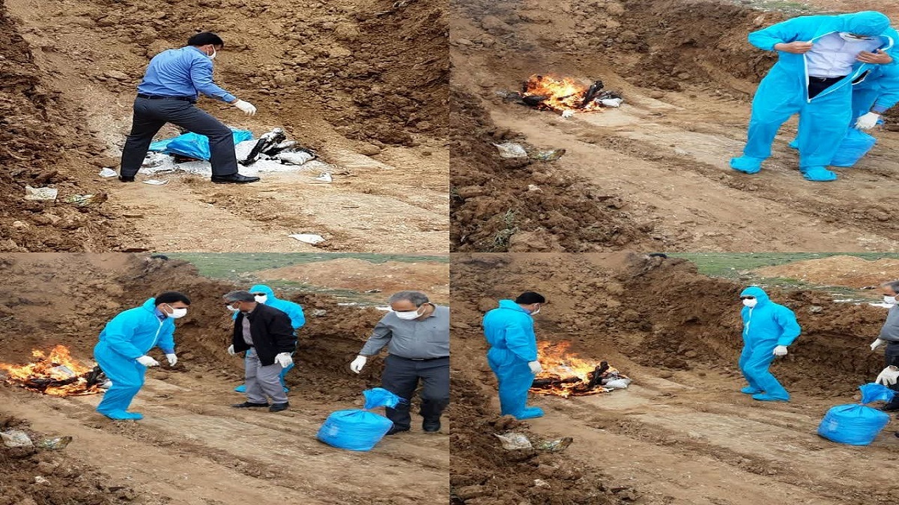 لاشه پلنگ تلف شده بر اثر هاری در گچساران معدوم شد