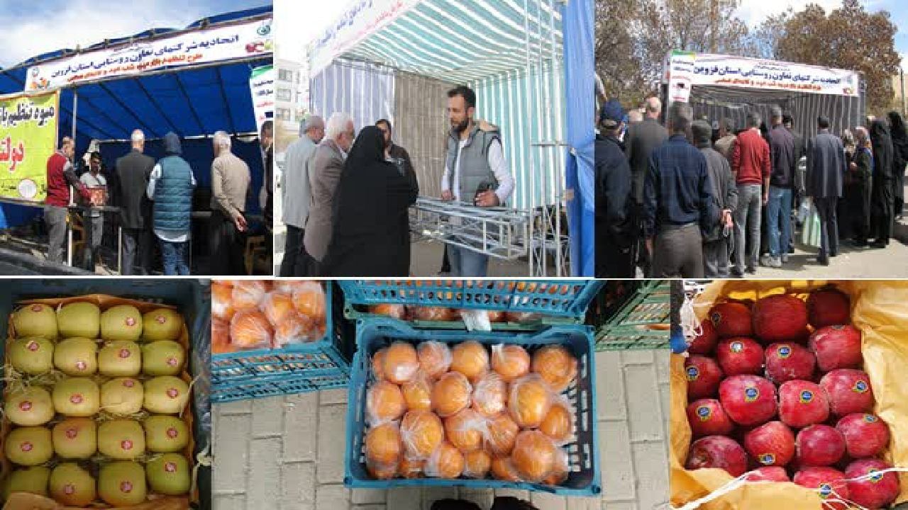 توزیع ۴۴۲ تن میوه شب عید در غرفه‌های استان قزوین