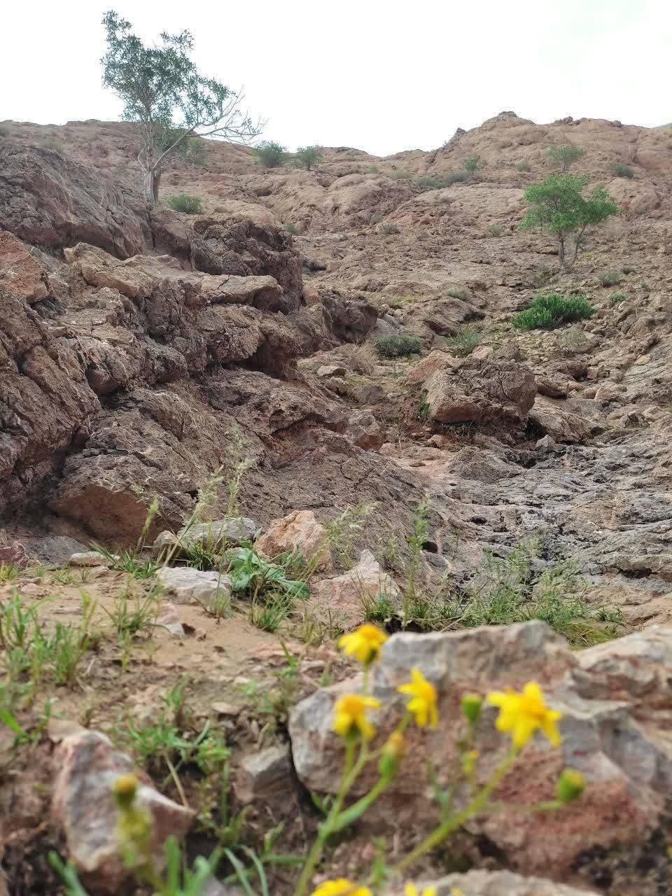 طبیعت رنگارنگ زیرکوه در قاب تصاویر شهروندخبرنگار