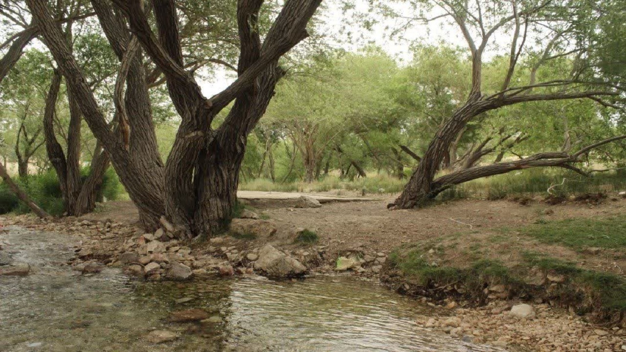 سرچشمه نهر مسیح هرات پذیرای مسافران نوروزی