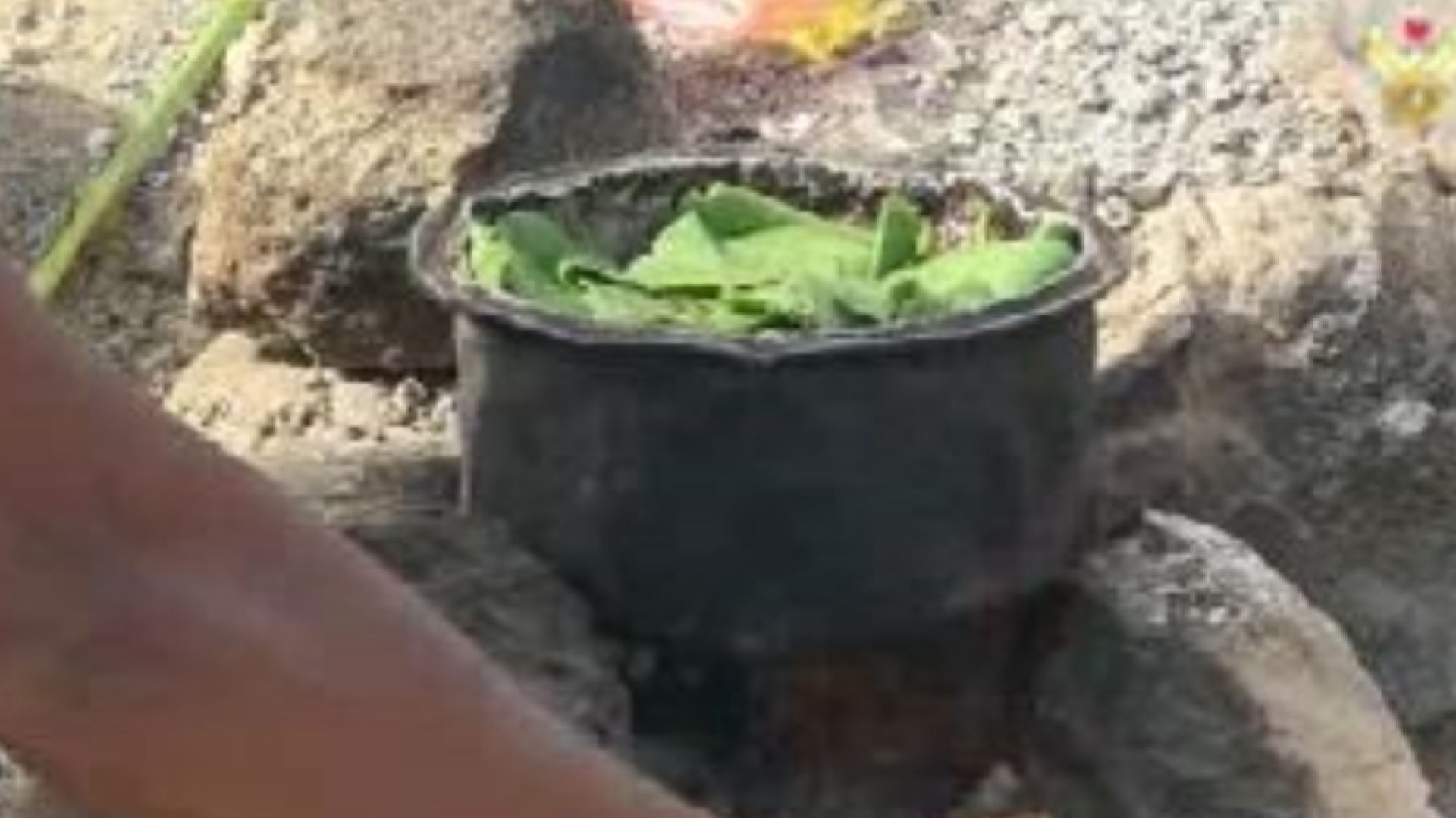افطار خانواده یمنی با پختن برگ درختان + فیلم