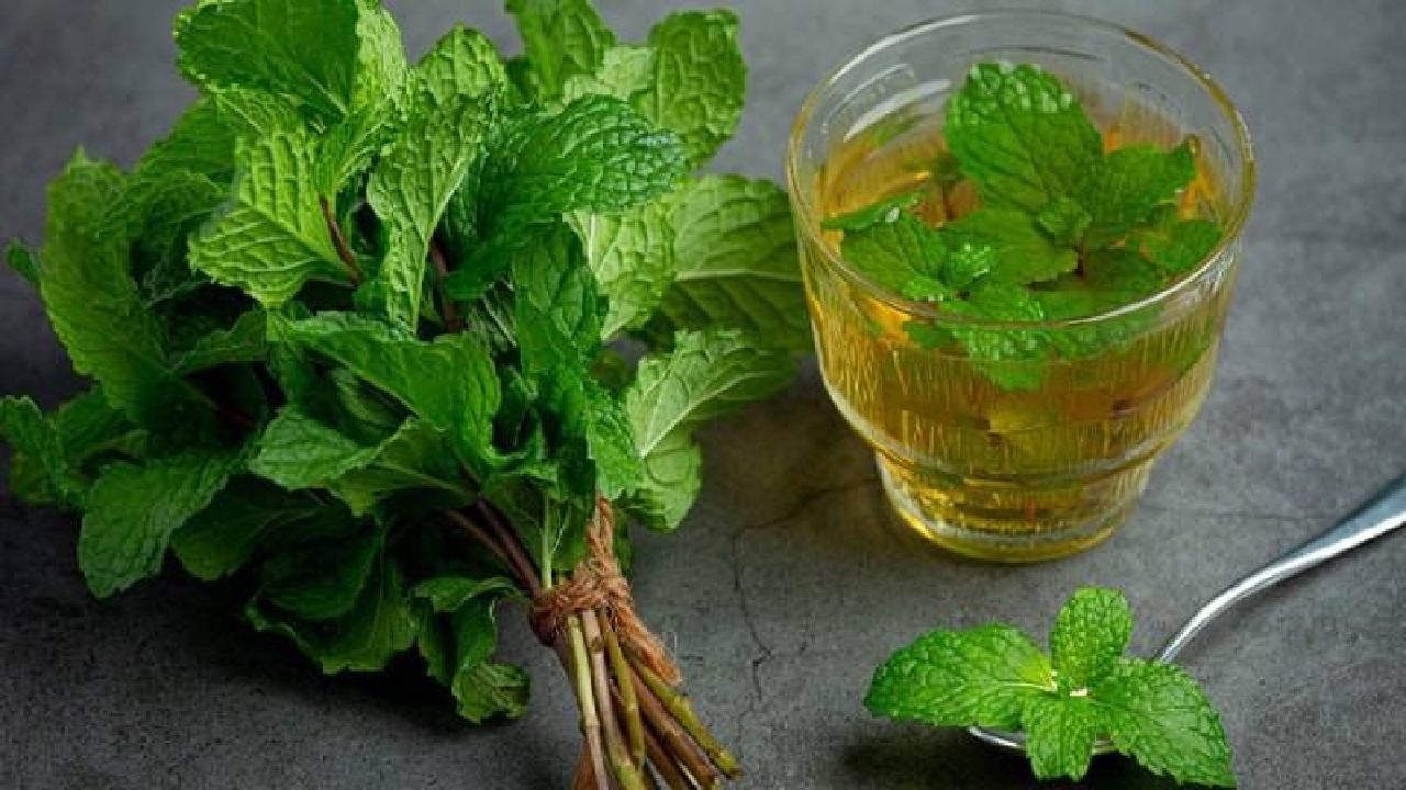 فواید خوردن نعناع در ماه مبارک رمضان