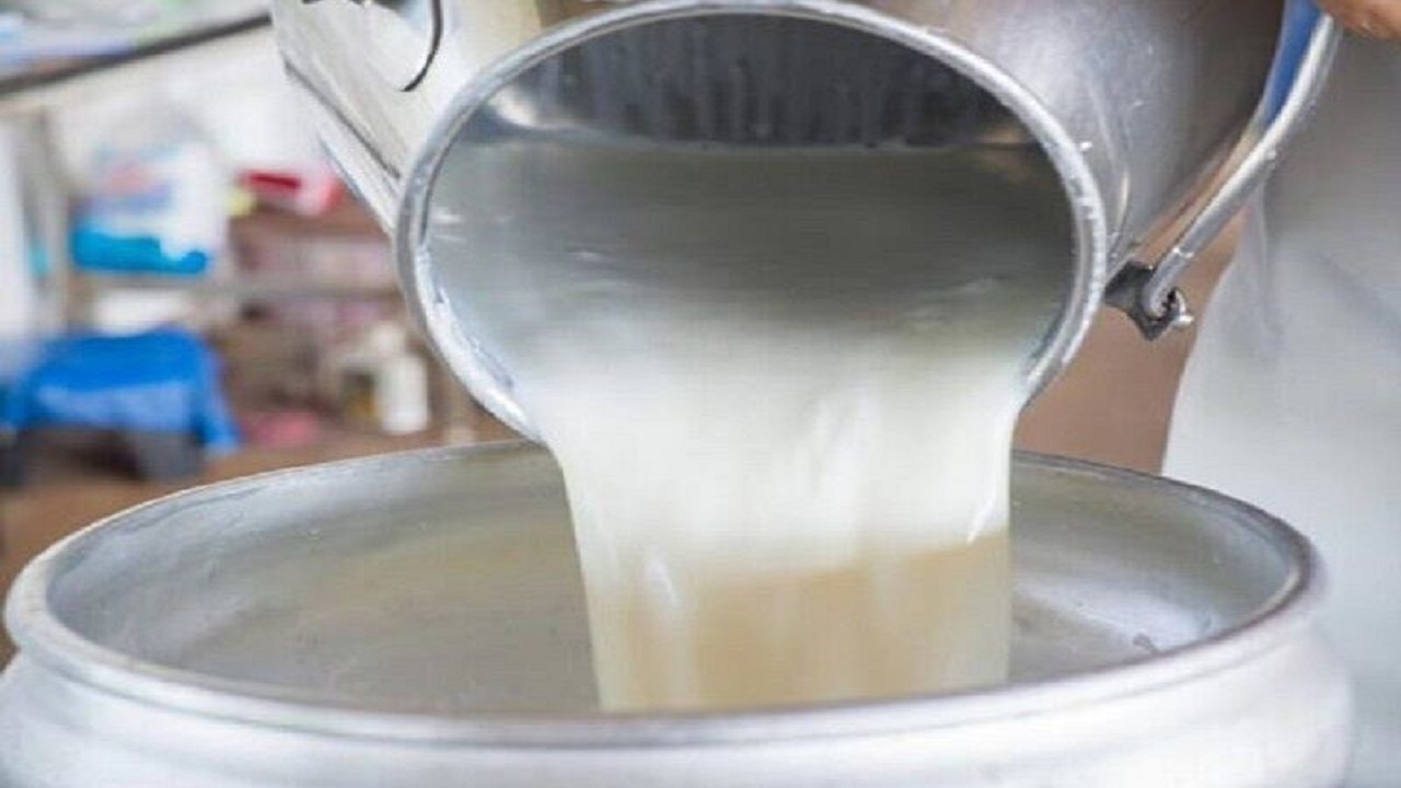 ۲۶ تن مواد لبنی فاسد در نیشابور  کشف و معدوم شد