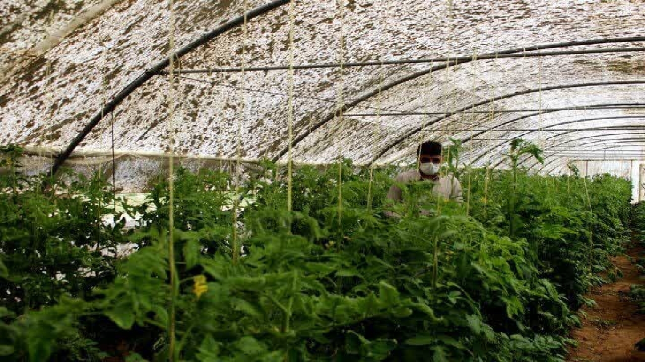 ۶۷ میلیارد ریال تسهیلات بنیاد برکت در بخش کشاورزی شهرستان سامان پرداخت شد
