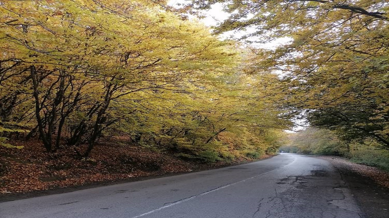 جاده