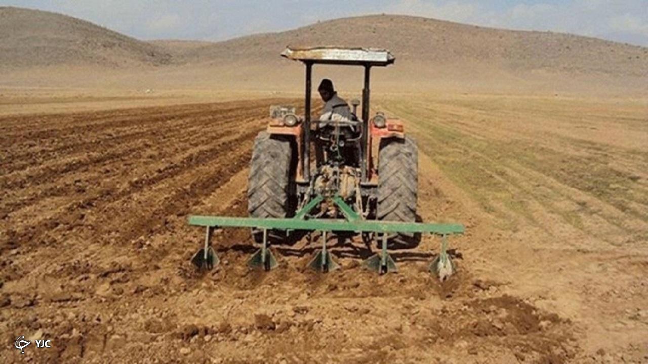 ۵ هزار هکتار زمین در آذربایجان‌غربی به کشت نخود اختصاص یافت