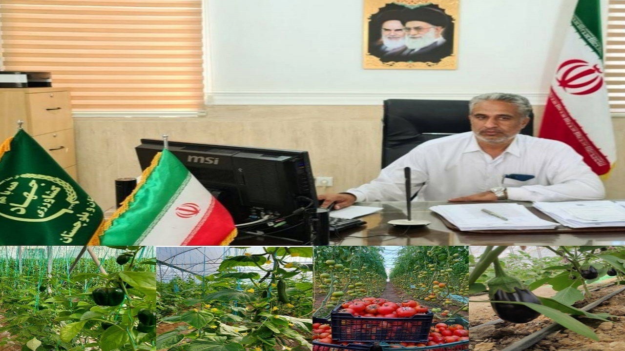 پیشتازی سیب و سوران در توسعه گلخانه‌ها در سیستان‌وبلوچستان