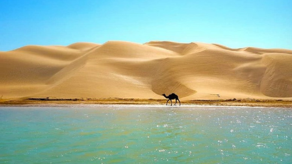 ساحل زیبای چانف در سیستان و بلوچستان + فیلم