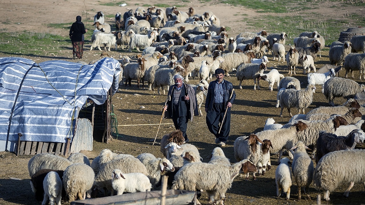 پیگیری پرونده عشایر ایل زوله در کمیسیون سازمان منابع طبیعی و آبخیزداری کشور