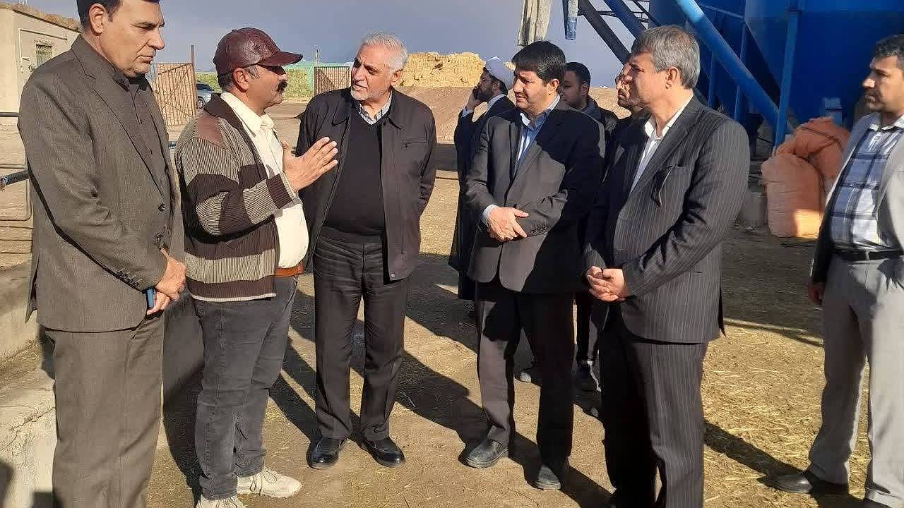 بازدید دادستان کرمان از واحد‌های تولیدی شیر و تخم مرغ در کرمان