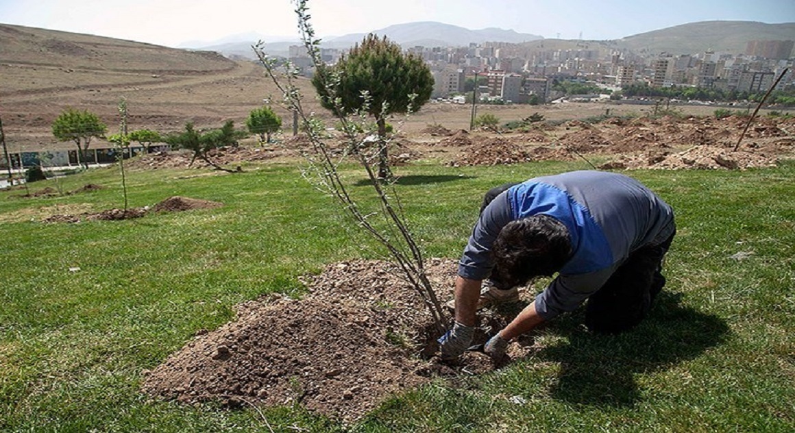 برگزاری دومین پویش نهال کاری در اراک