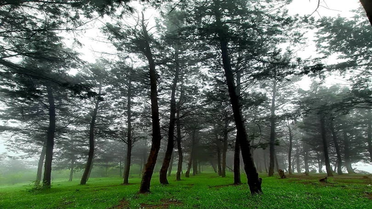 نگاهی به طبیعت زیبای تپه هزار پیچ گرگان در قالب تصاویر