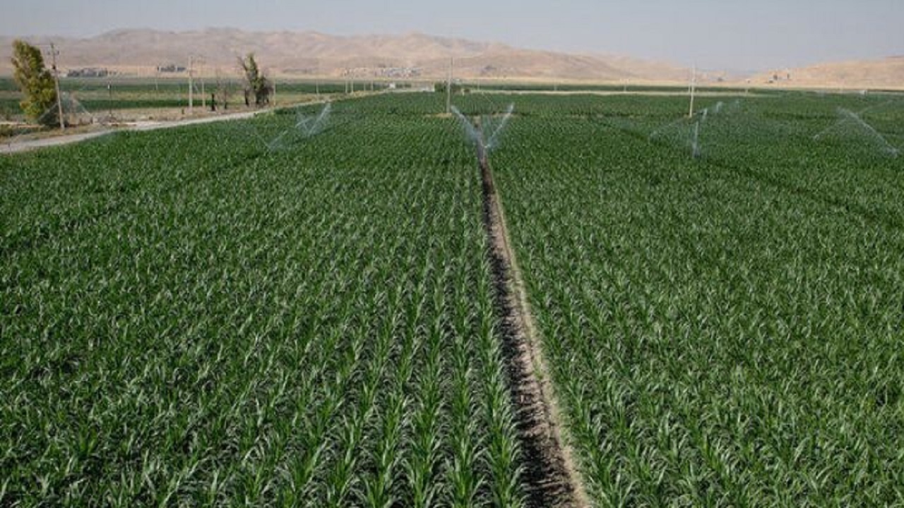 خاش پیشروی اجرای سیستم آبیاری نوین در سیستان و بلوچستان است