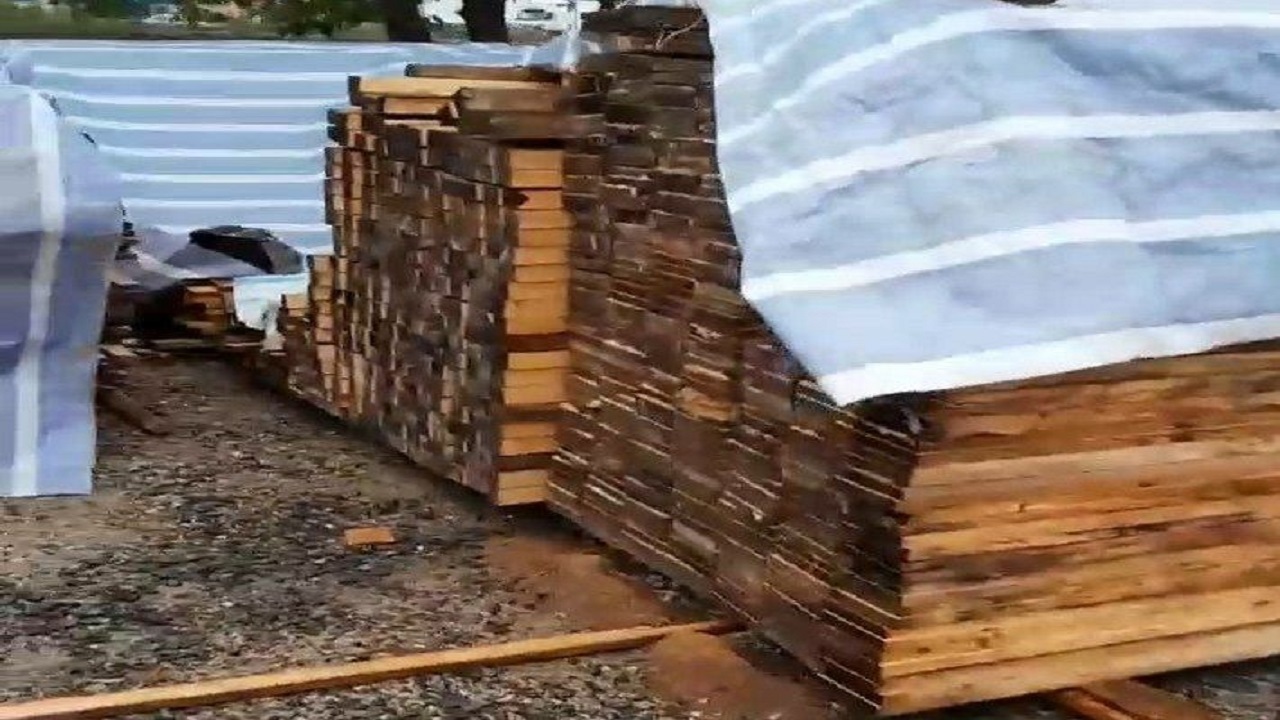 کشف ۳۵ تن چوب نراد احتکار شده در آستارا