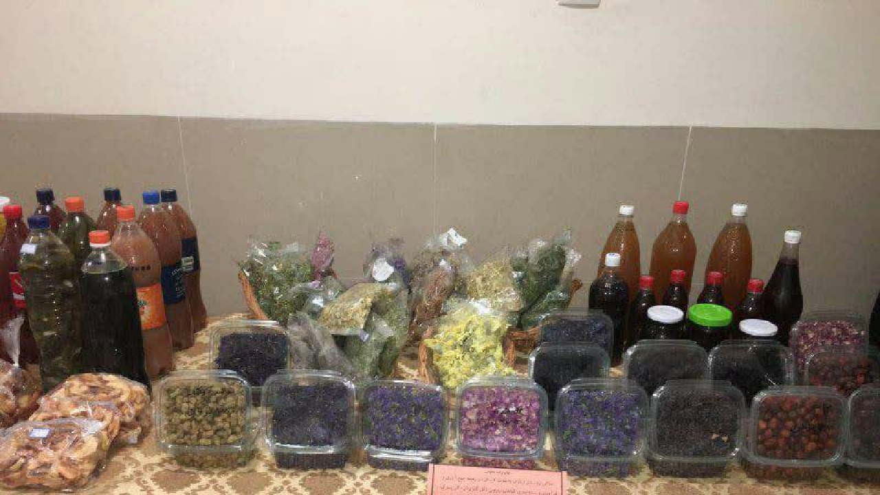 بازدید از ۷۴ طرح کسب و کار مشاغل خانگی در شهرستان البرز 