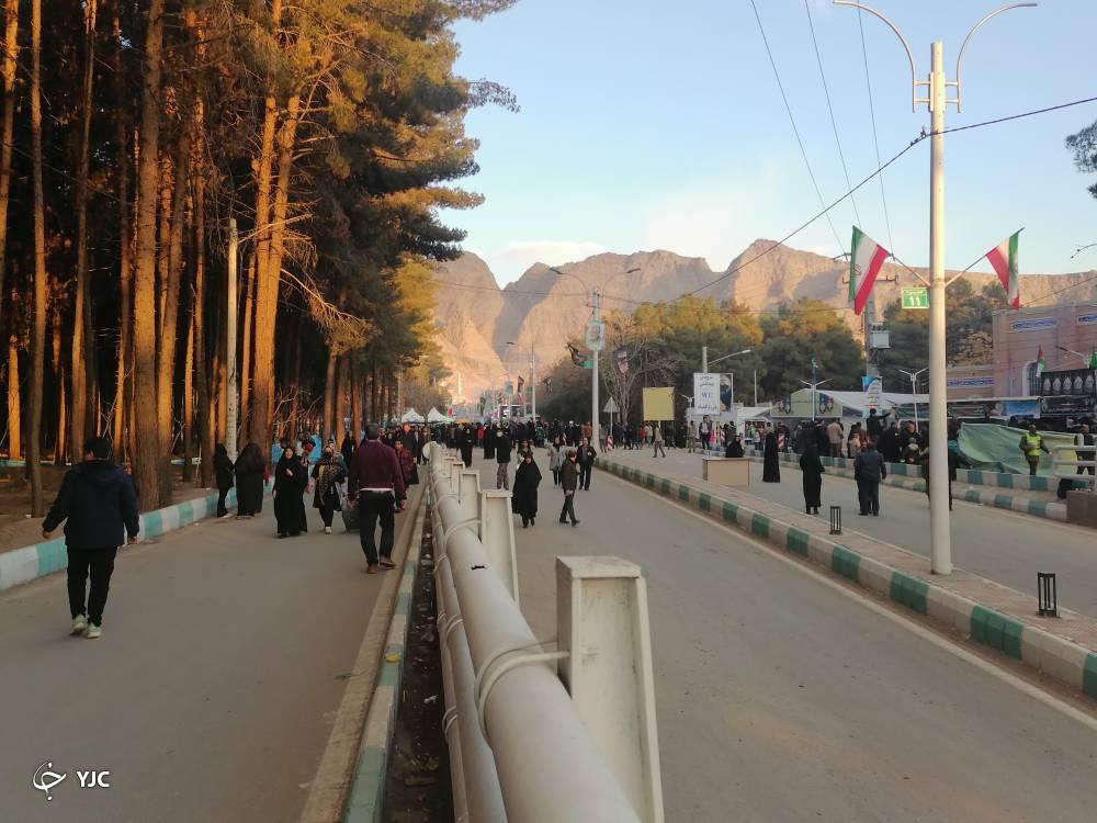 اربا اربا را از میان جنگل جمع کردیم