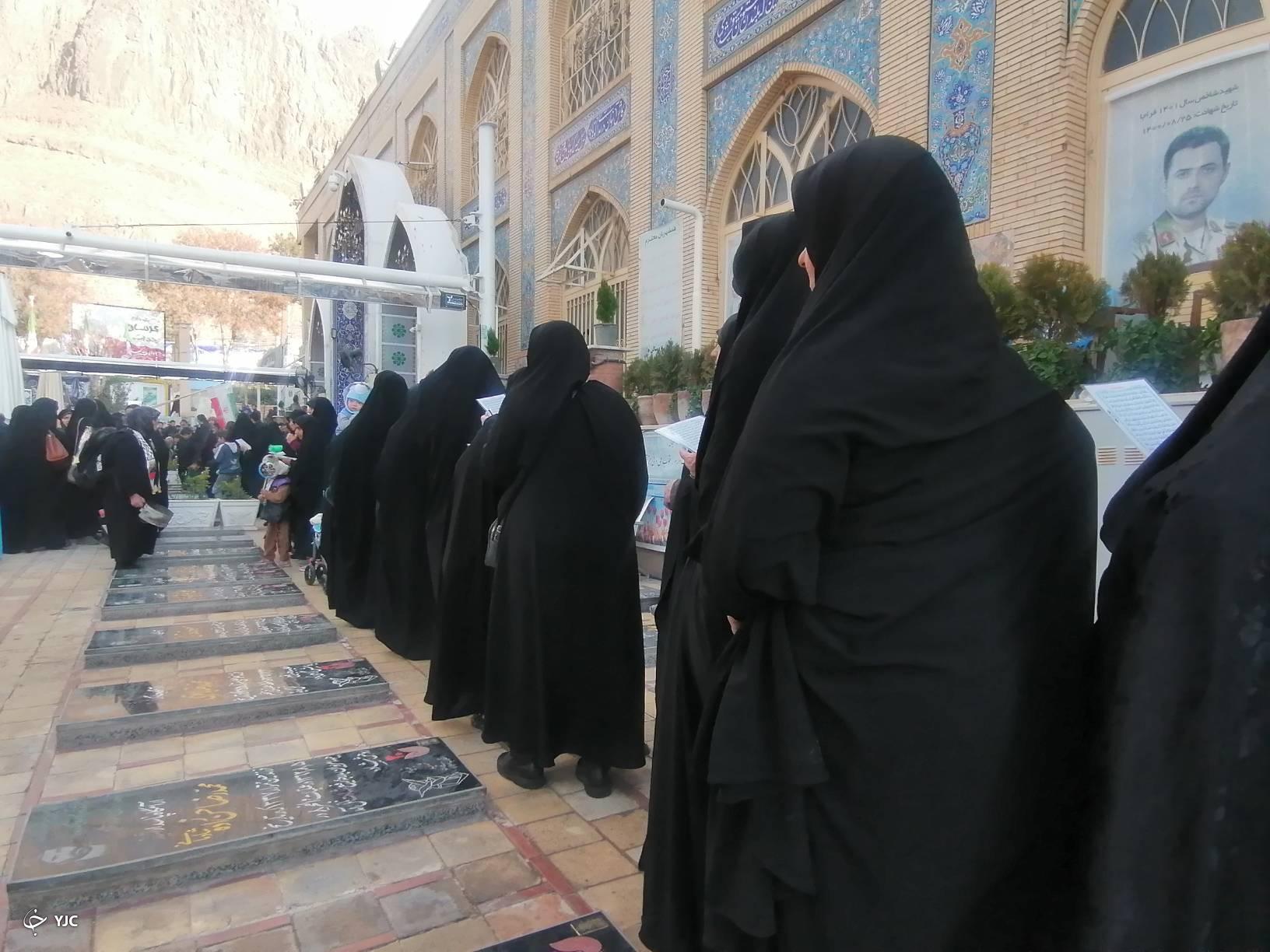 اربا اربا را از میان جنگل جمع کردیم