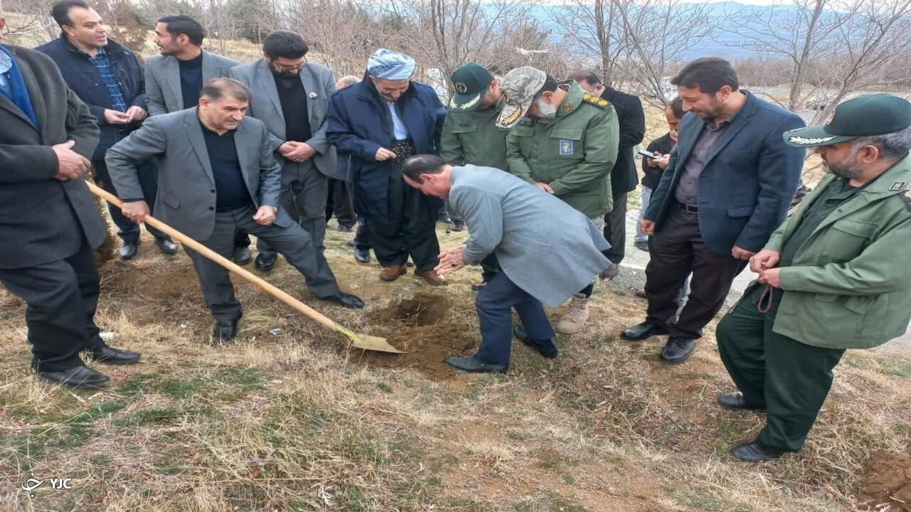 ۴ هکتار از منابع طبیعی اشنویه بذرکاری شد