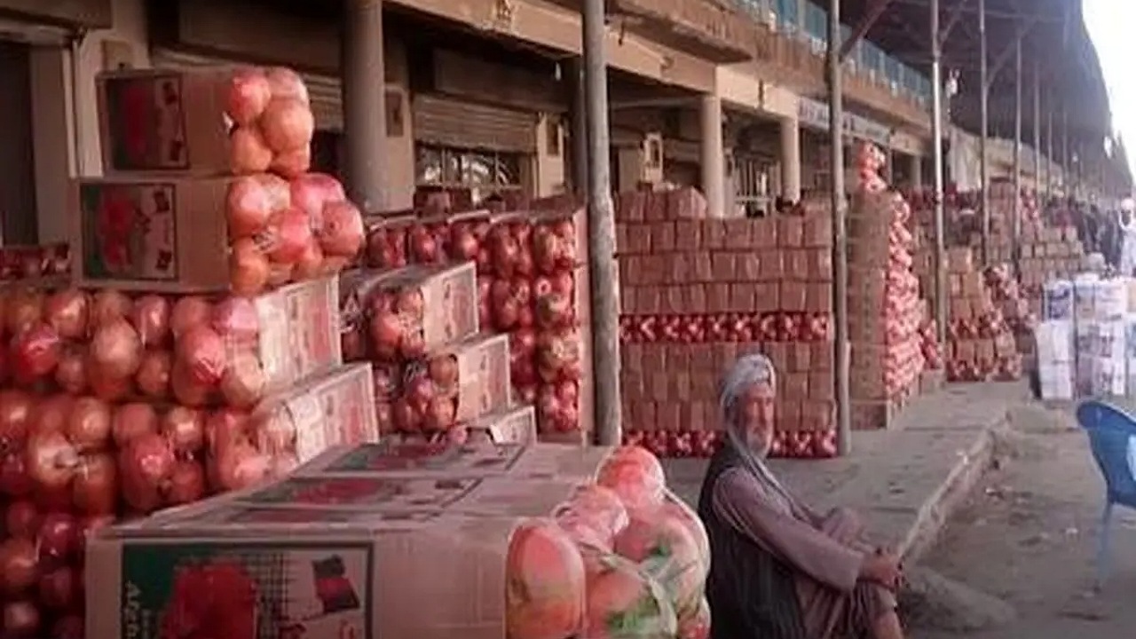 بزرگترین صادرکننده انار جهان + فیلم