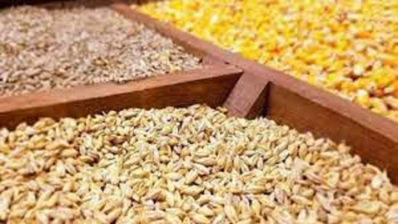 گلایه کشاورزان از نبود نهاده های کشاورزی یارانه ای و پاسخ مسئول