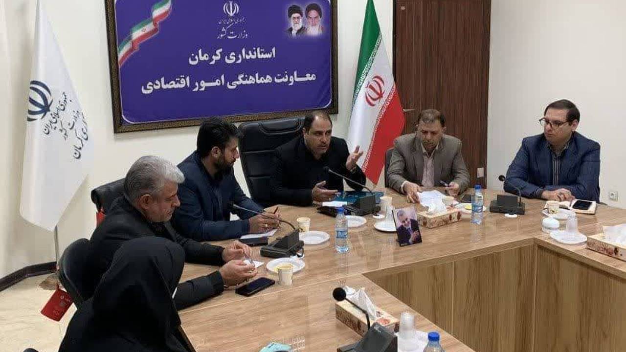 تاکید معاون استاندار کرمان بر سرمایه‌گذاری‌ برای راه‌اندازی صنایع پایین دستی