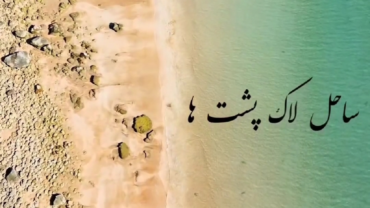ساحل لاک‌پشت‌ها در آب‌های جنوبی ایران + فیلم