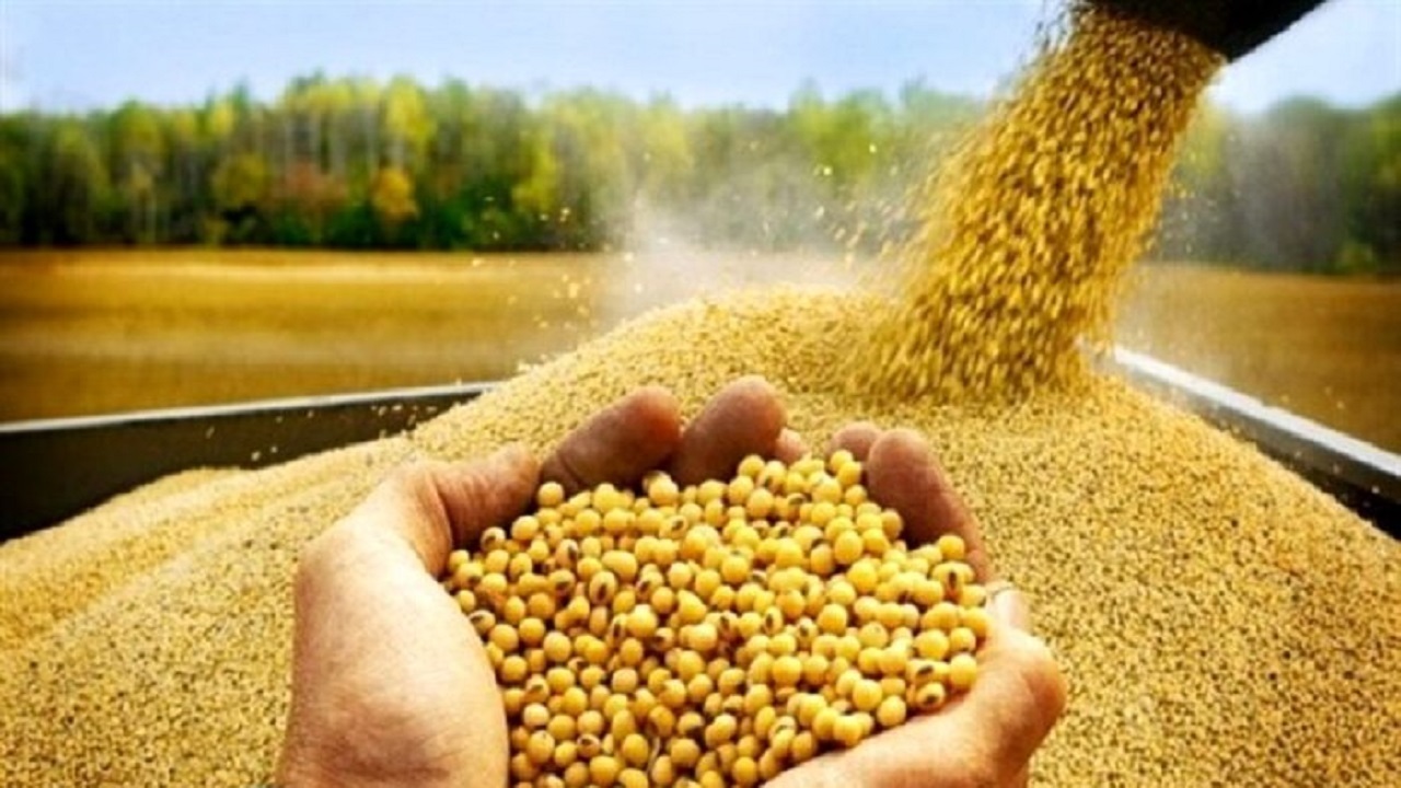 پرداخت ۳۲ میلیارد تومان تسهیلات تولید بذر اصلاح شده