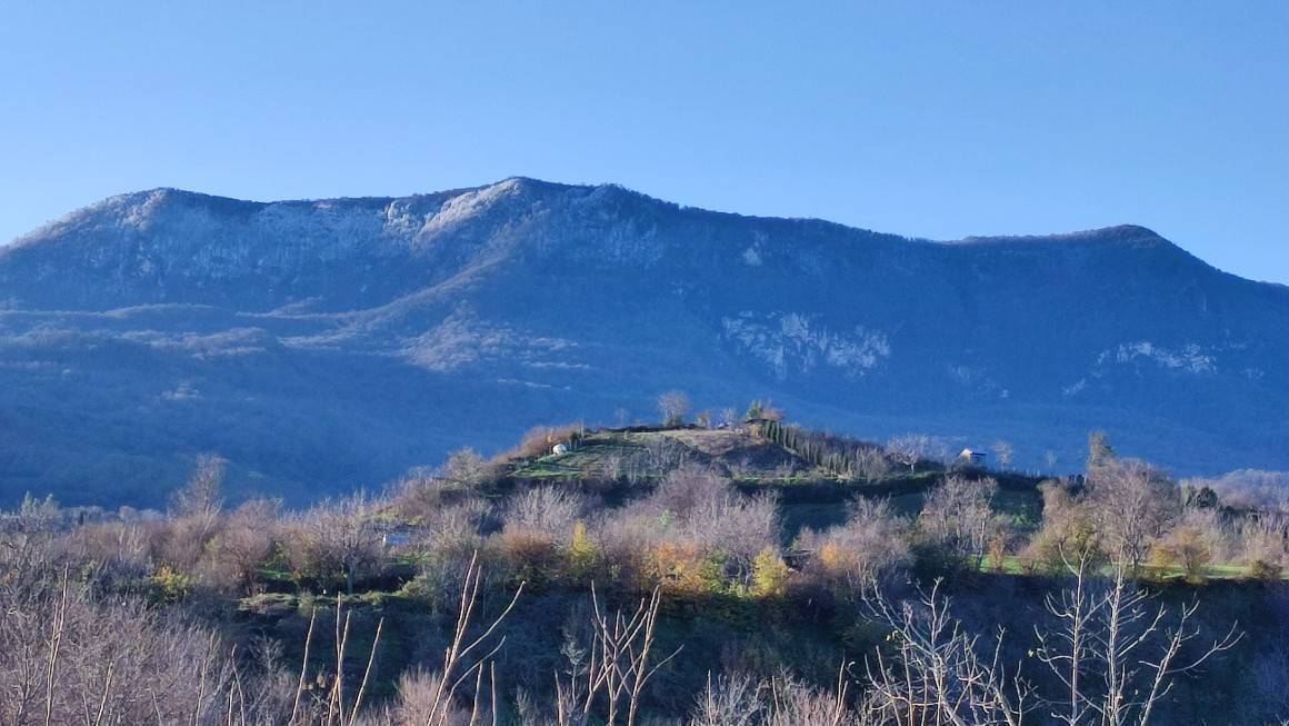 نمایی از جنکل هزار جریب