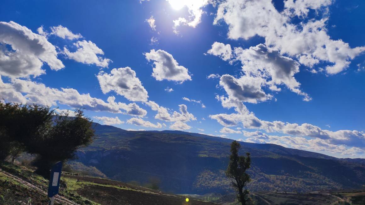 آسمان آبی در جنکل
