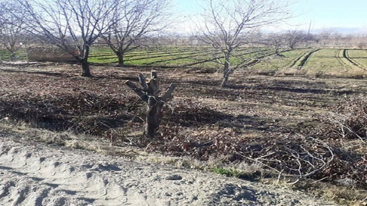 ایمن سازی دو محور پرخطر اسدآباد