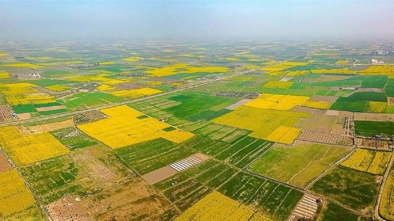 شناسایی بیش از هزار تخلف در اراضی ملی قزوین