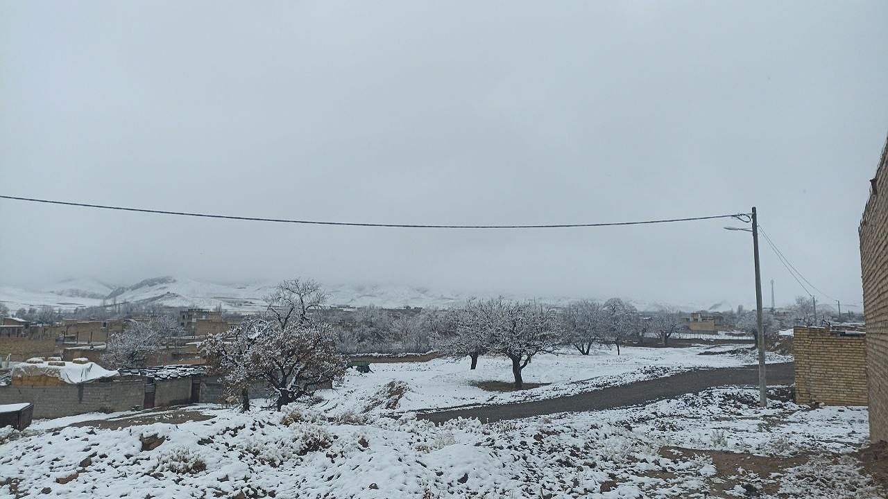 بارش ۴ سانتی متر برف در تایباد