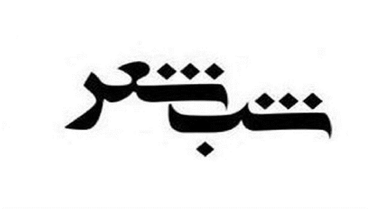برگزاری نخستین شب شعر بین المللی شهید القدس در اروند